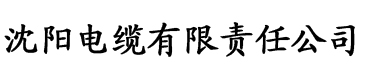 红桃k影院电缆厂logo